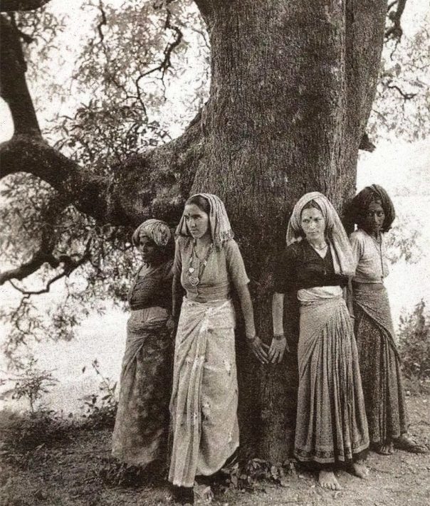 Women protecting trees