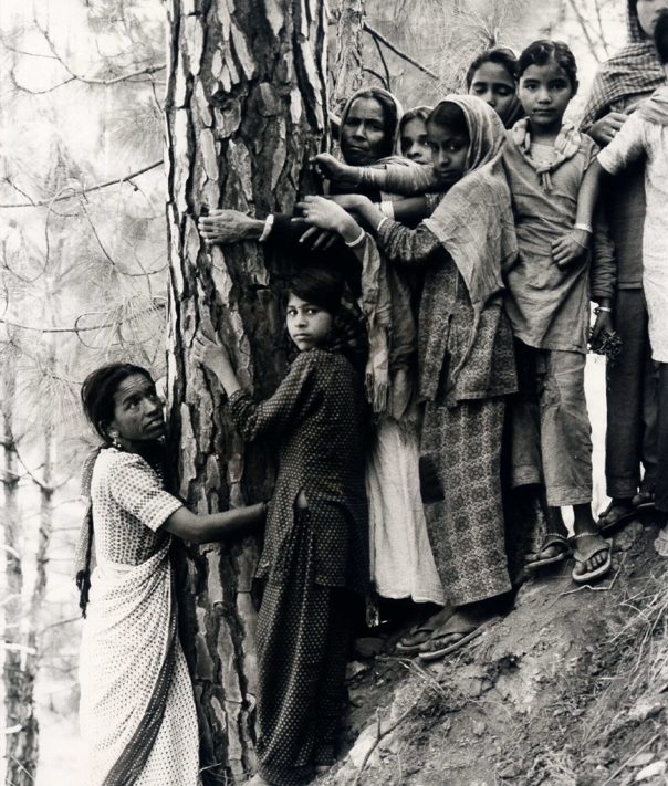 The Right Livelihood Award